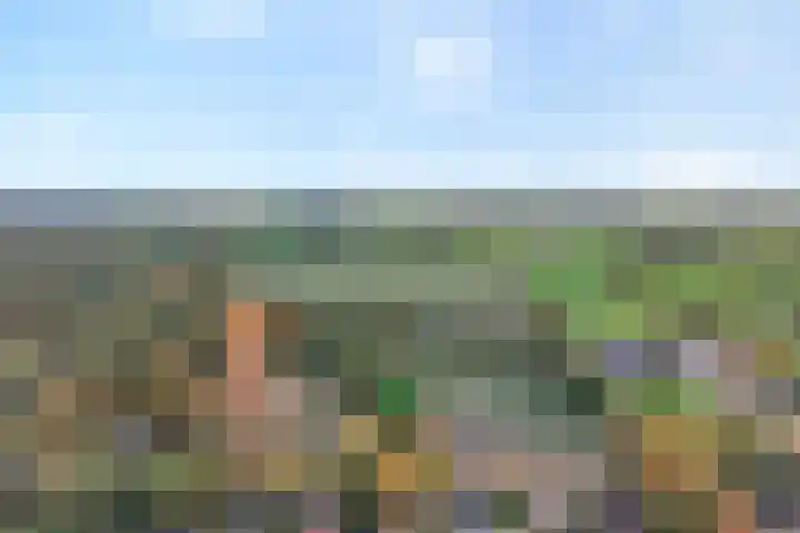 Vledderweg 29 Vledder thumbnail 5