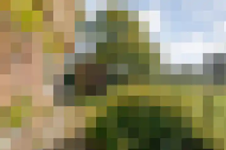 Vledderweg 29 Vledder thumbnail 50