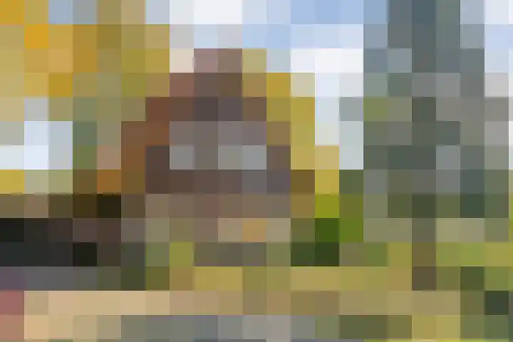 Vledderweg 29 Vledder thumbnail 6
