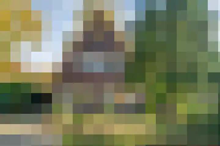 Vledderweg 29 Vledder thumbnail 7