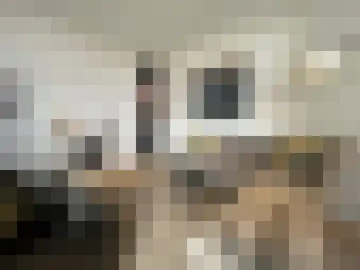 Vleeshouwerijstraat 19 Sluis thumbnail 10