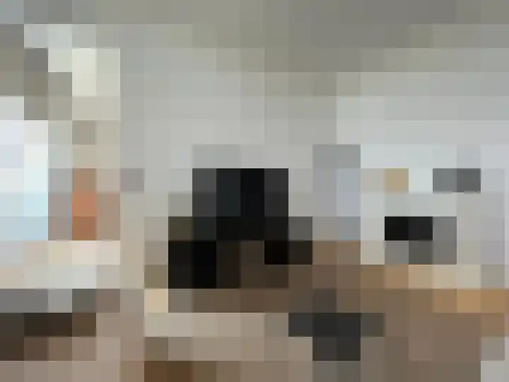Vleeshouwerijstraat 19 Sluis thumbnail 11