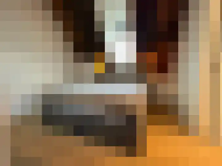 Vleeshouwerijstraat 19 Sluis thumbnail 13