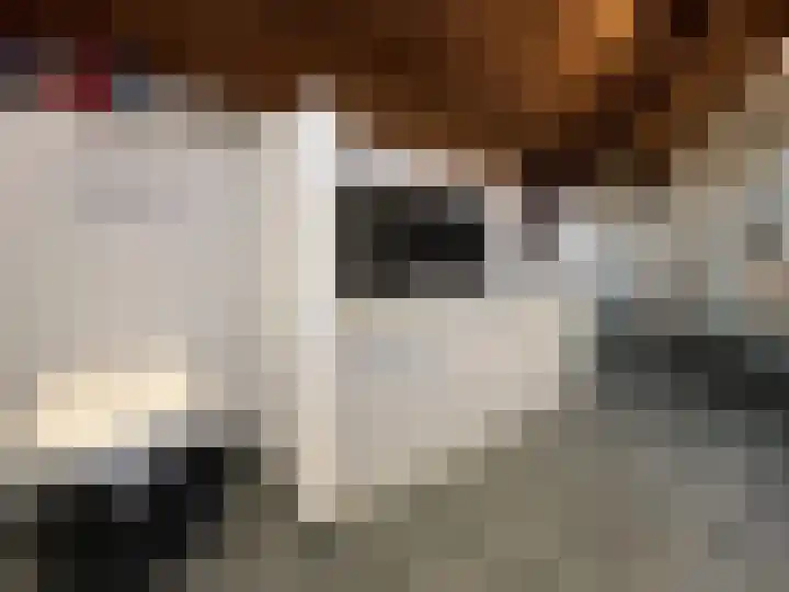 Vleeshouwerijstraat 19 Sluis thumbnail 18