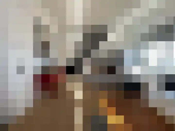 Vleeshouwerijstraat 19 Sluis thumbnail 6