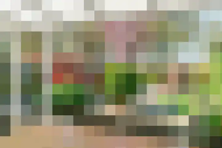 Vleetkamp 20 Landgraaf thumbnail 16