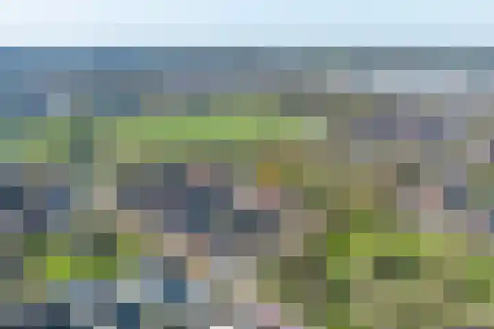 Vleetkamp 20 Landgraaf thumbnail 23