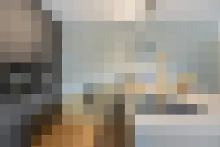 Vlegel 12 Erica thumbnail 16