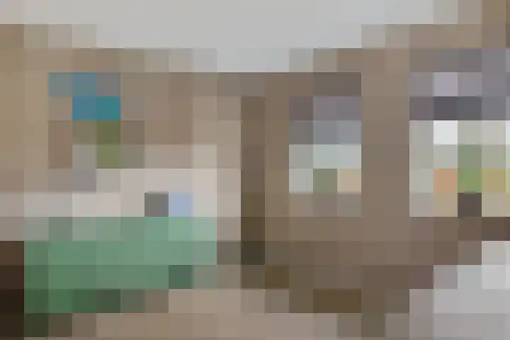 Vlegel 12 Erica thumbnail 17
