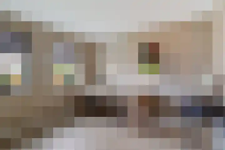 Vlegel 12 Erica thumbnail 18