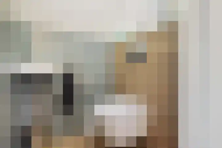 Vlegel 12 Erica thumbnail 20