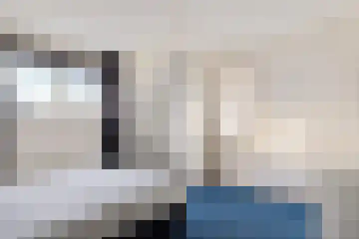 Vlegel 12 Erica thumbnail 24