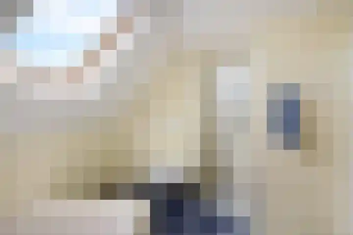 Vlegel 12 Erica thumbnail 29