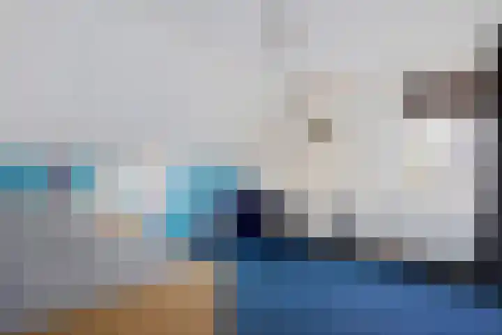 Vlegel 12 Erica thumbnail 31