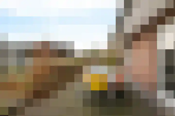 Vlegel 12 Erica thumbnail 35