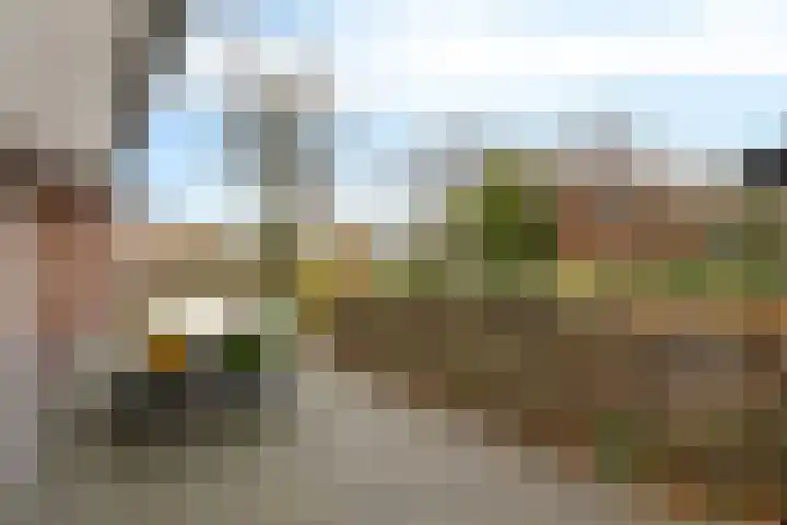Vlegel 12 Erica thumbnail 36