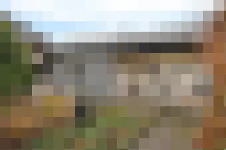 Vlegel 12 Erica thumbnail 37