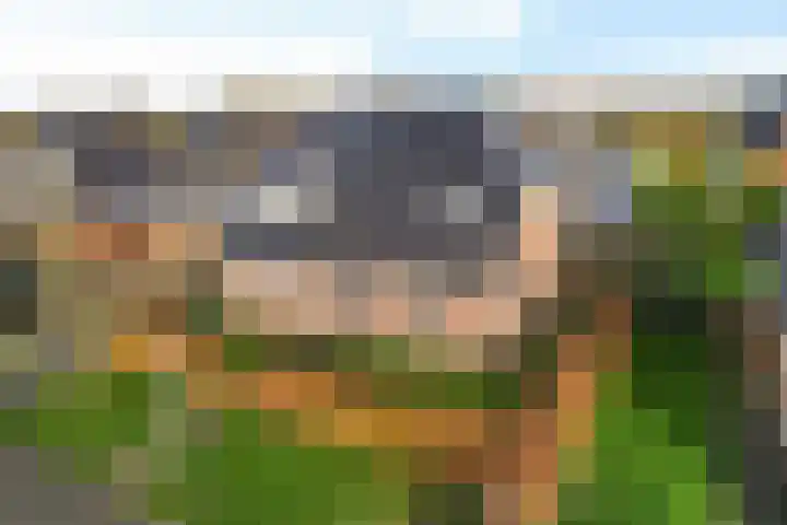 Vlegel 12 Erica thumbnail 43