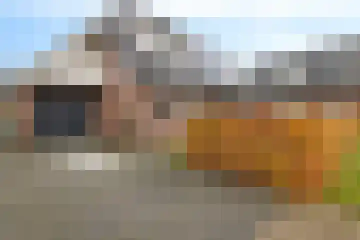 Vlegel 12 Erica thumbnail 44