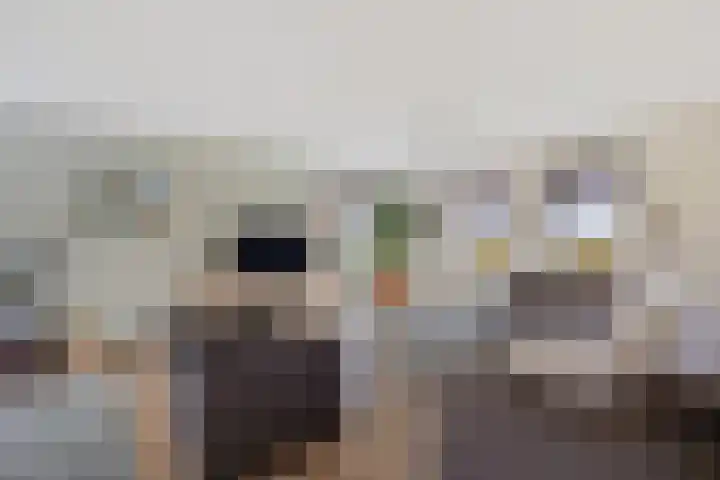 Vlegel 12 Erica thumbnail 5
