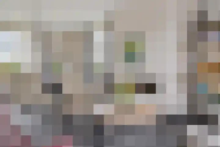 Vlegel 6 Erica thumbnail 12