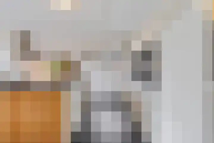 Vlegel 6 Erica thumbnail 15