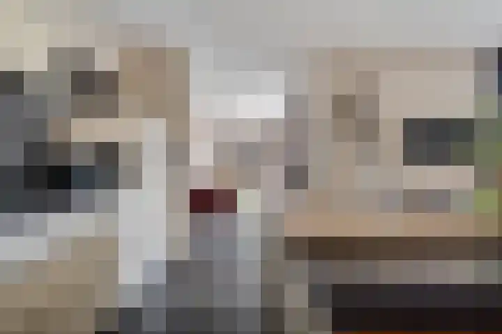 Vlegel 6 Erica thumbnail 17