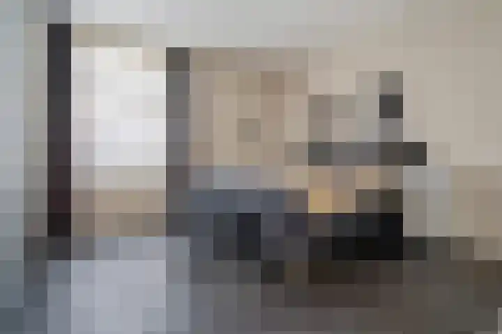 Vlegel 6 Erica thumbnail 20