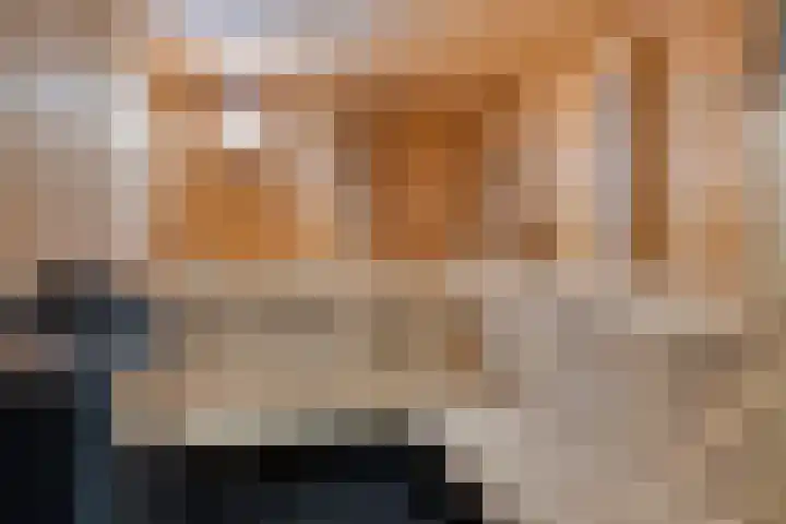 Vlegel 6 Erica thumbnail 24