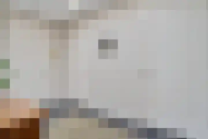 Vlegel 6 Erica thumbnail 26