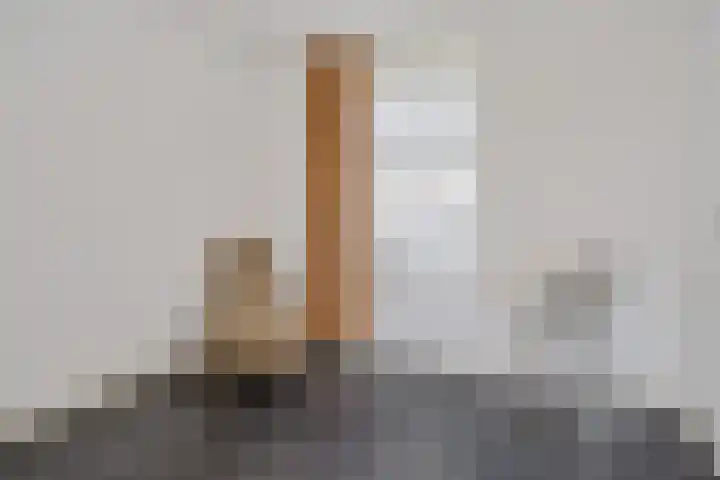 Vlegel 6 Erica thumbnail 27