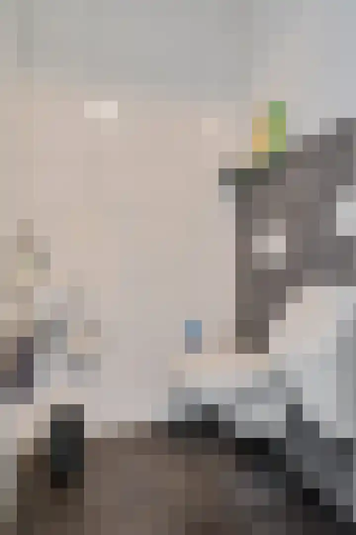 Vlegel 6 Erica thumbnail 29