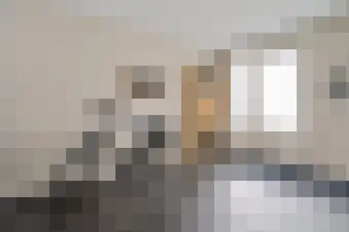 Vlegel 6 Erica thumbnail 30
