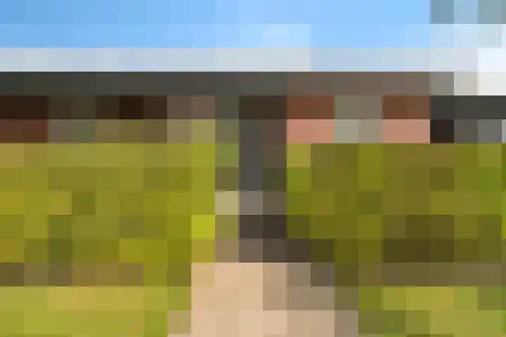Vlegel 6 Erica thumbnail 38