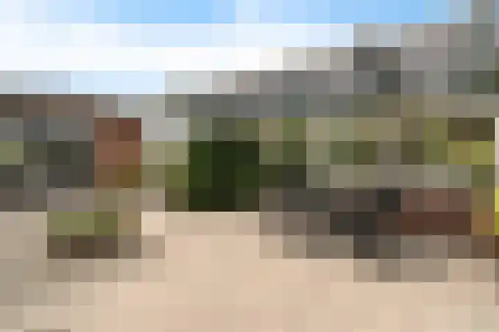 Vlegel 6 Erica thumbnail 4
