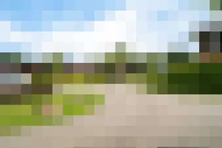 Vlegel 6 Erica thumbnail 41
