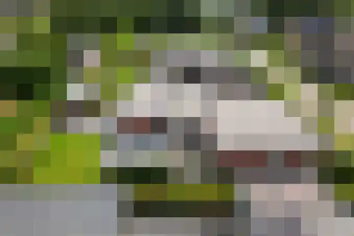 Vlegel 6 Erica thumbnail 44