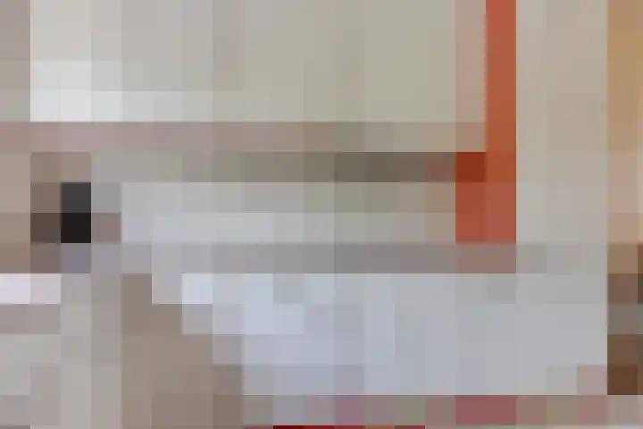 Vlet 22 Obdam thumbnail 16