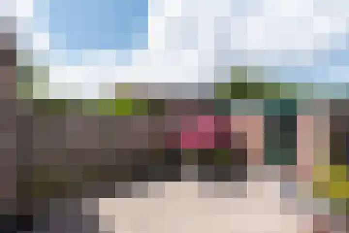 Vlet 22 Obdam thumbnail 35