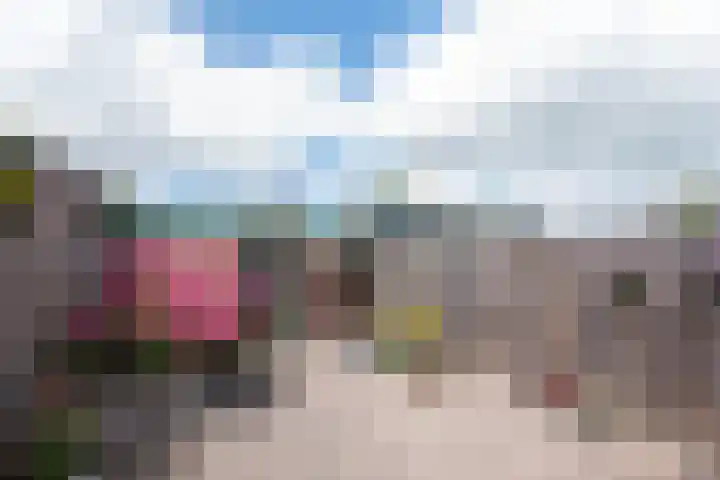 Vlet 22 Obdam thumbnail 4