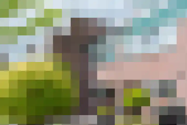 Vlet 22 Obdam thumbnail 42