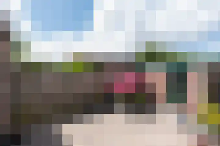 Vlet 22 Obdam thumbnail 46