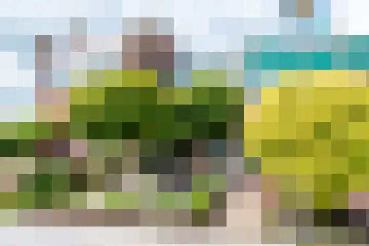 Vlet 22 Obdam thumbnail 49