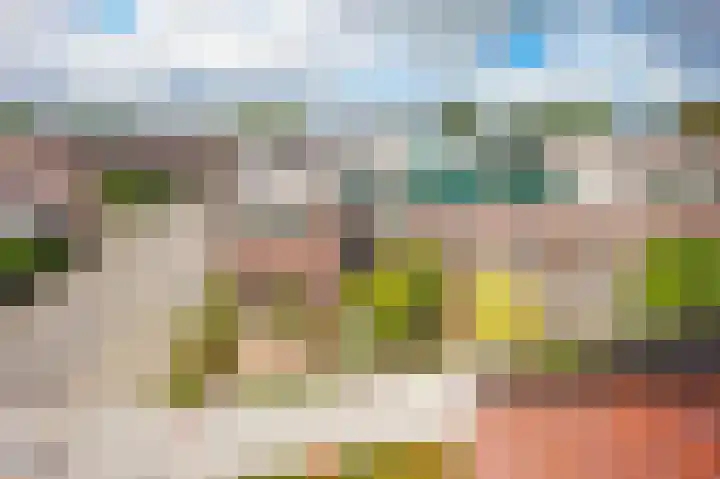 Vlet 22 Obdam thumbnail 60