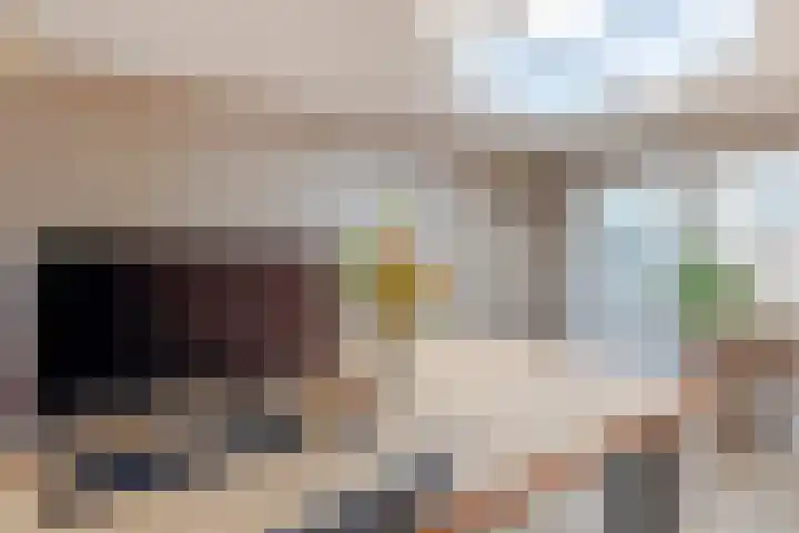 Vlet 43 Werkendam thumbnail 27