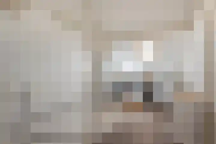Vlet 43 Werkendam thumbnail 39