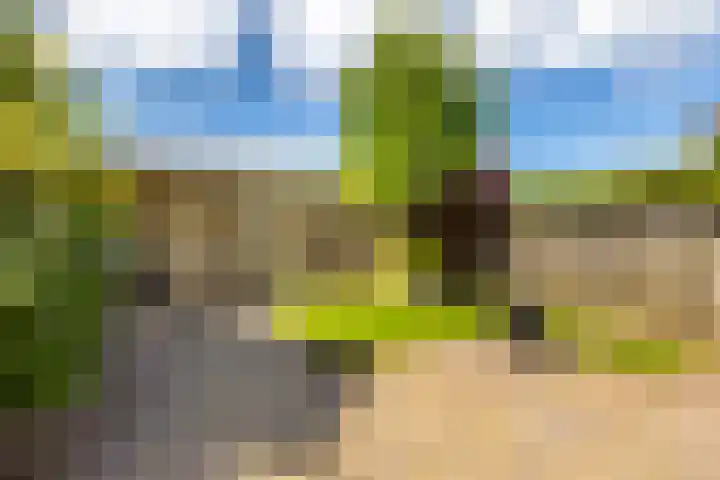 Vlet 43 Werkendam thumbnail 42