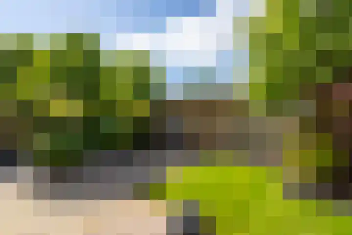 Vlet 43 Werkendam thumbnail 43