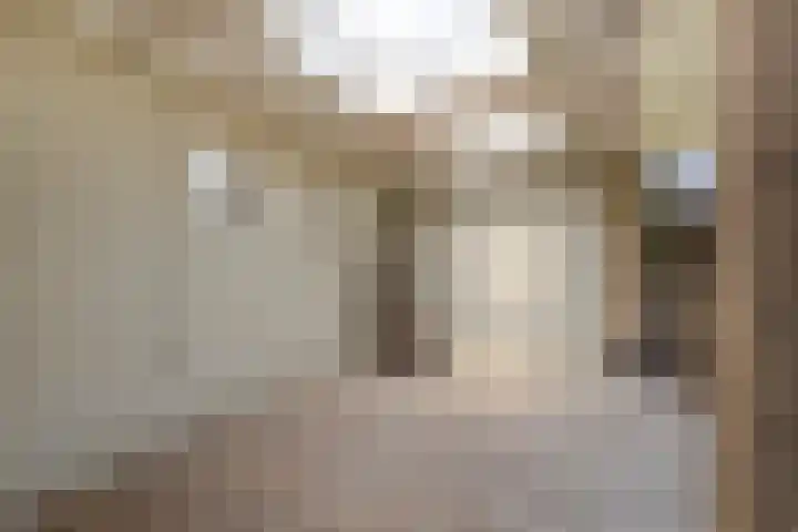 Vlet 43 Werkendam thumbnail 45