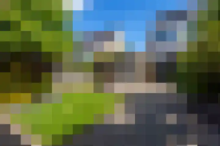 Vlet 43 Werkendam thumbnail 48